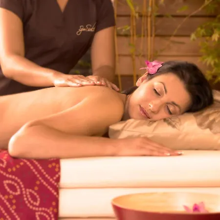 酒店 城堡庭院温泉及休闲酒店 4*