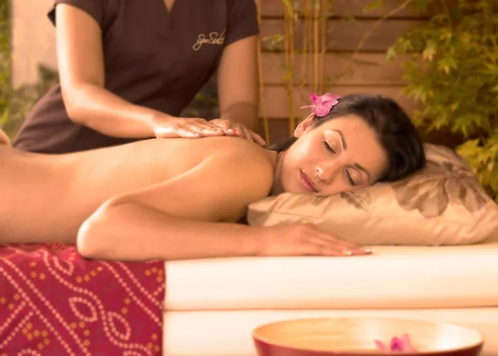 酒店 城堡庭院温泉及休闲酒店 4*