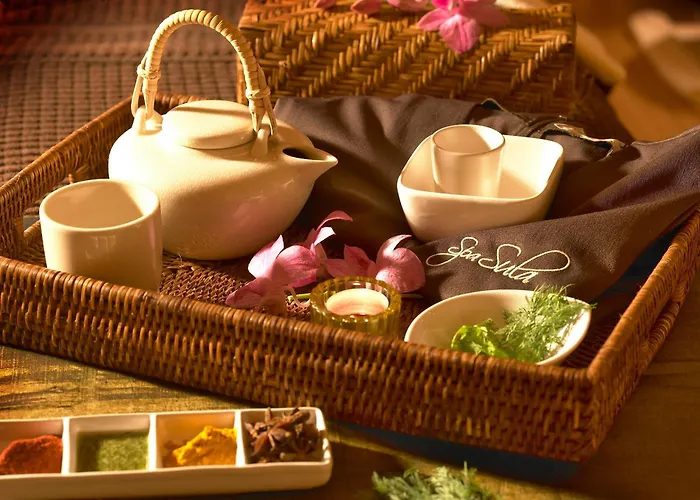 酒店 城堡庭院温泉及休闲酒店 4*